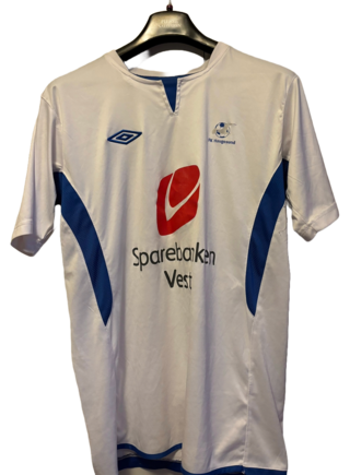 Europa hjemme front