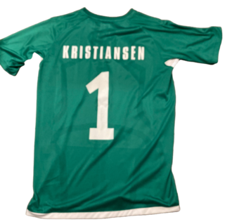 Europa keeper back