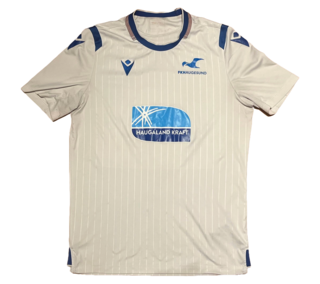 Europa hjemme front