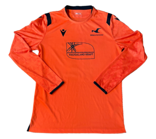 Europa keeper back